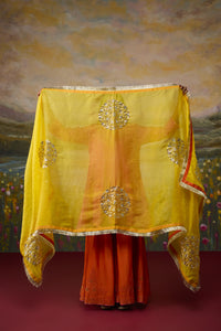Shaheen